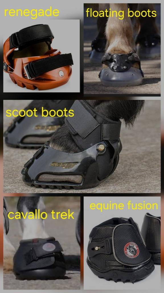 Hoefschoenen, bekappen