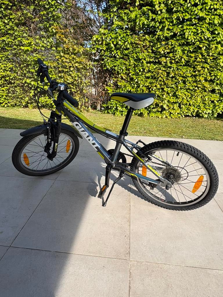 Gigantische kinderfiets, Ophalen, Zo goed als nieuw, 20 inch, Versnellingen