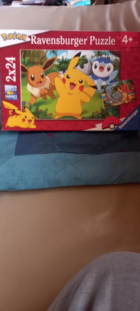 Pokèmon puzzle, Ophalen of Verzenden