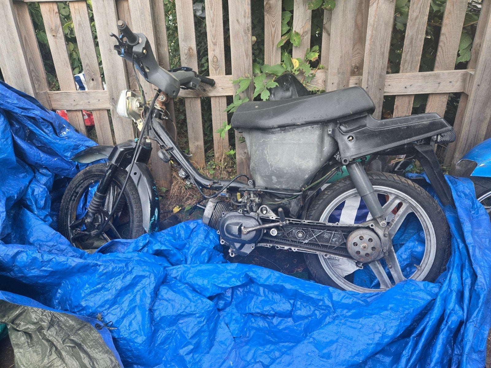wallaroo a vendre, Motoren, Ophalen of Verzenden