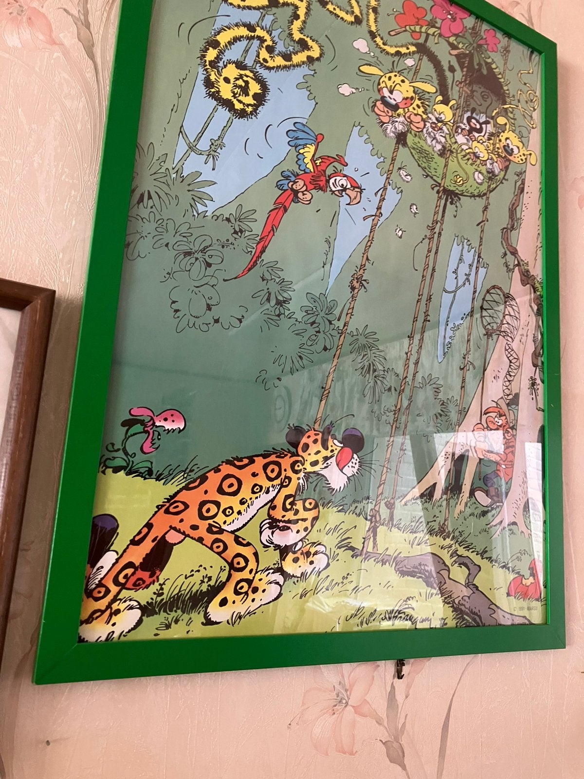 Franquin - het nest van de marsupilami, Verzamelen, Ophalen
