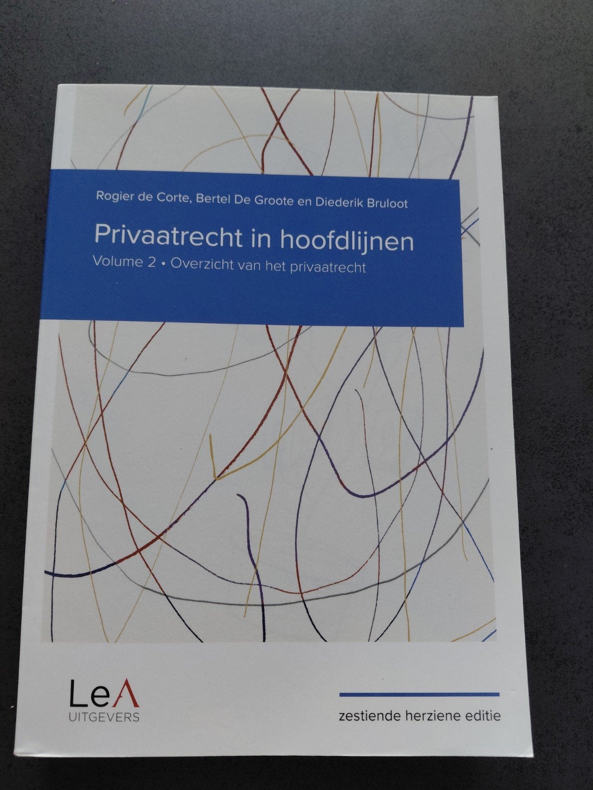 Privaatrecht in hoofdlijnen 16de editie - Volume 2, Ophalen, Rogier De Corte; Bertel De Groote; Diederik Bruloot