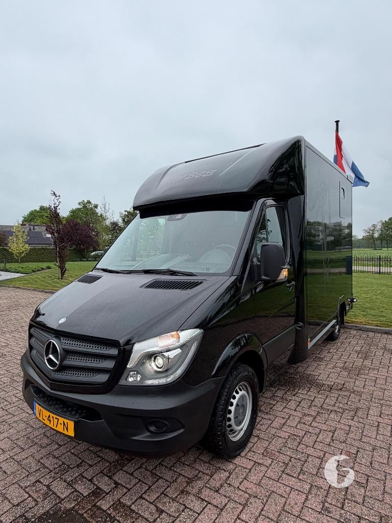 Mercedes paardencamionette, 2015 - 63.000km!, Ophalen, Zo goed als nieuw, Polyester, Overige typen