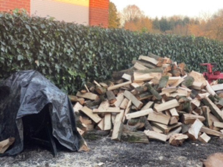 4 stere hetre et chene bon a bruler, Enlèvement ou Envoi, Chêne, Bûches