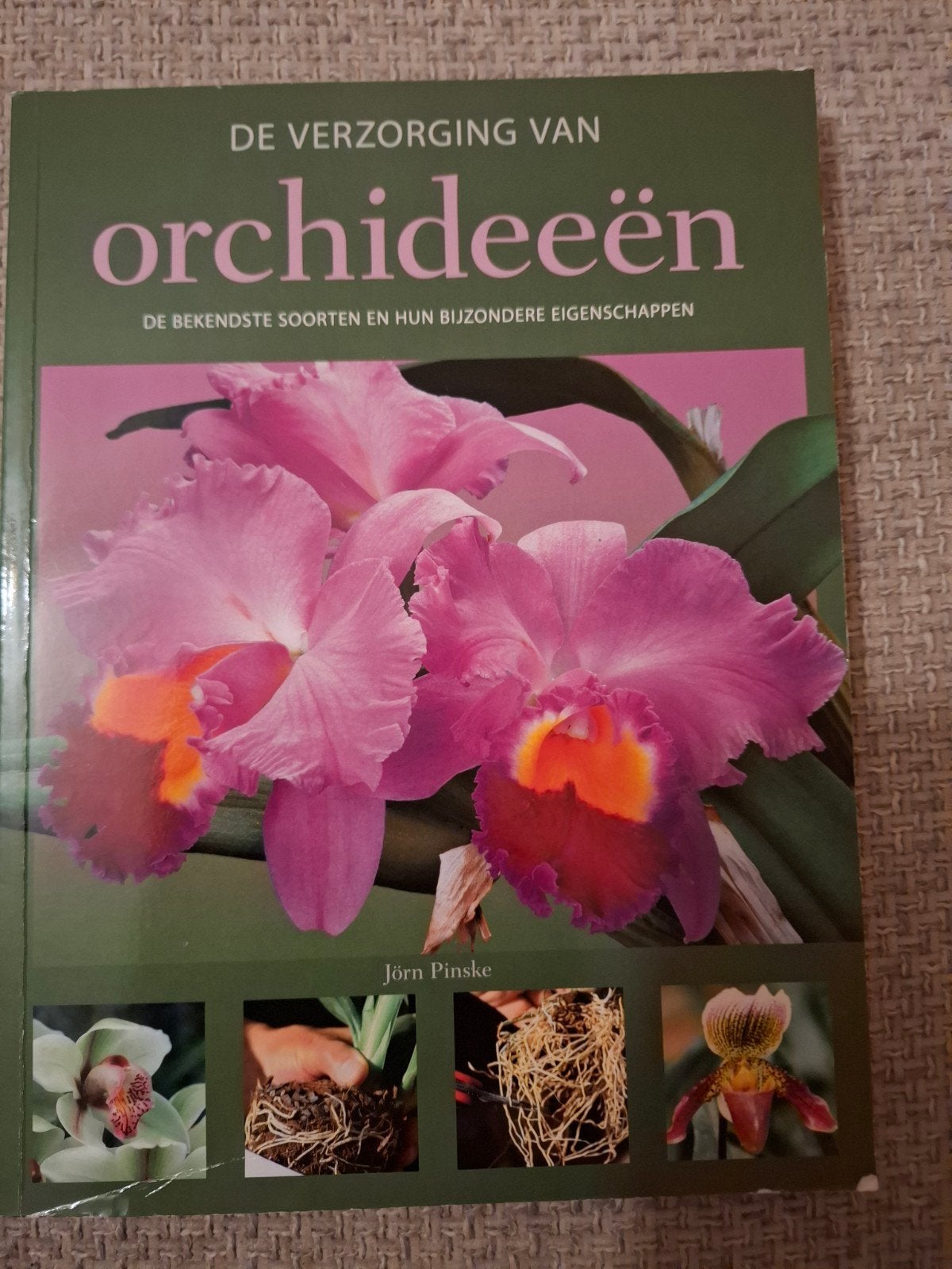 de verzorging van orchideeën, Ophalen of Verzenden