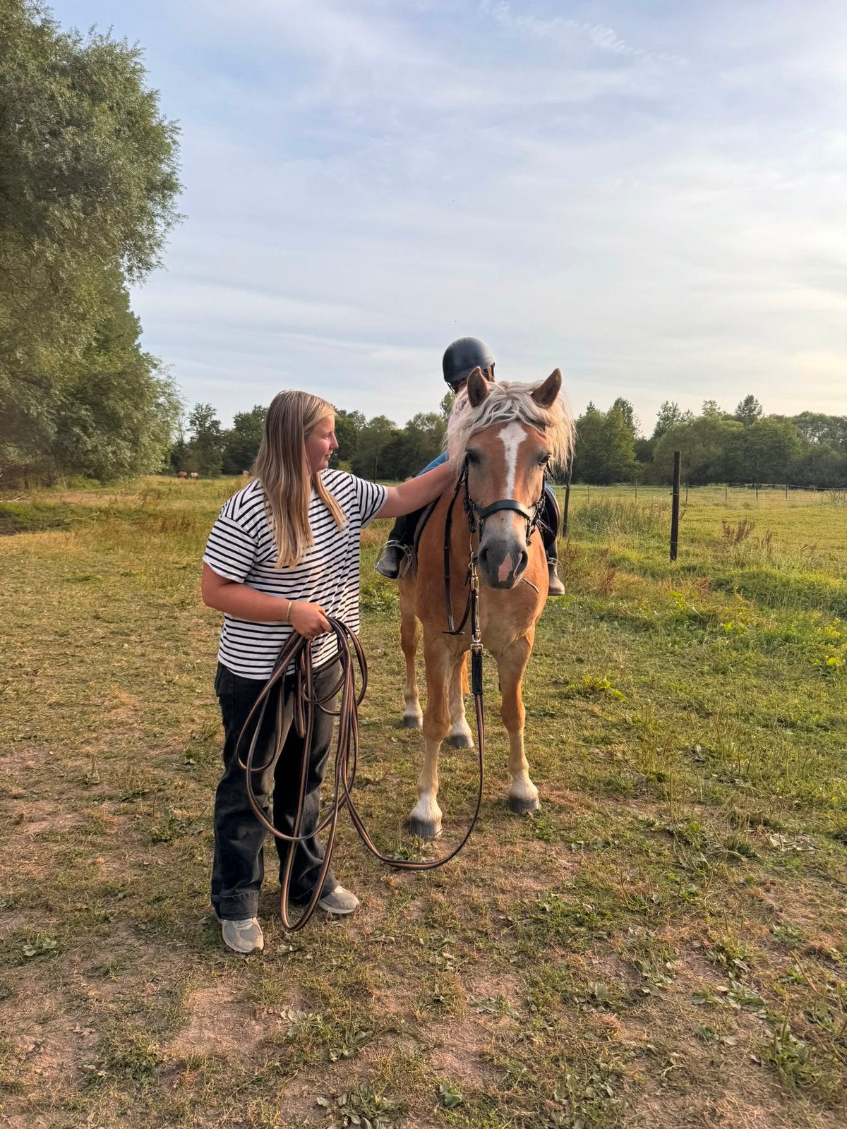 Ponygewenning en leren rijden