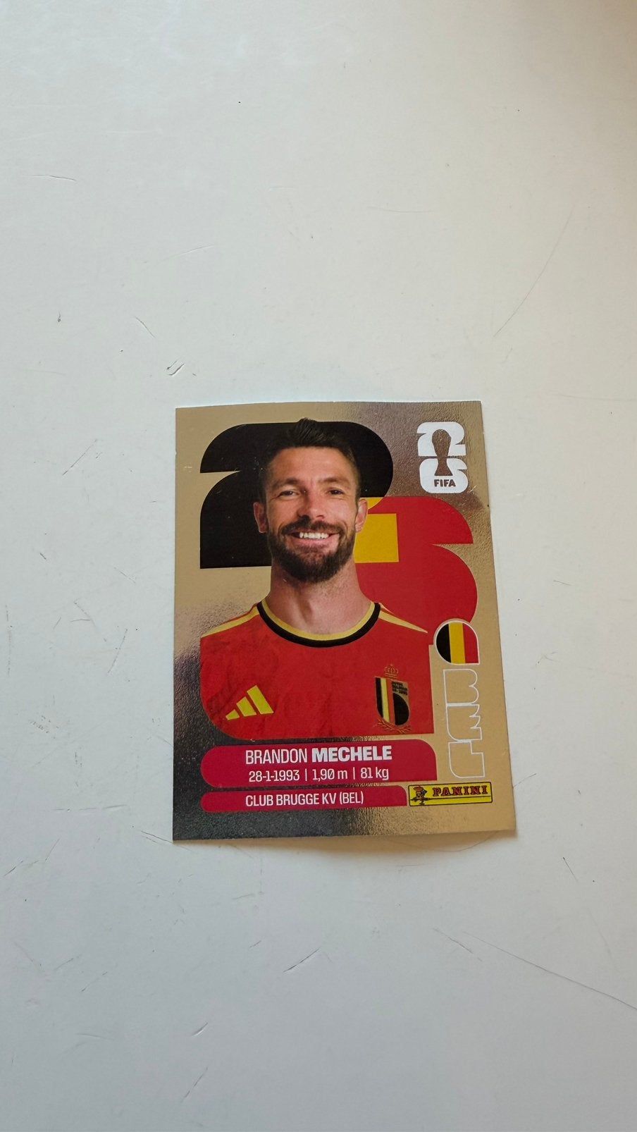 Zilveren Panini sticker Brandon Mechele, Verzamelen, Sportartikelen en Voetbal, Ophalen, Zo goed als nieuw