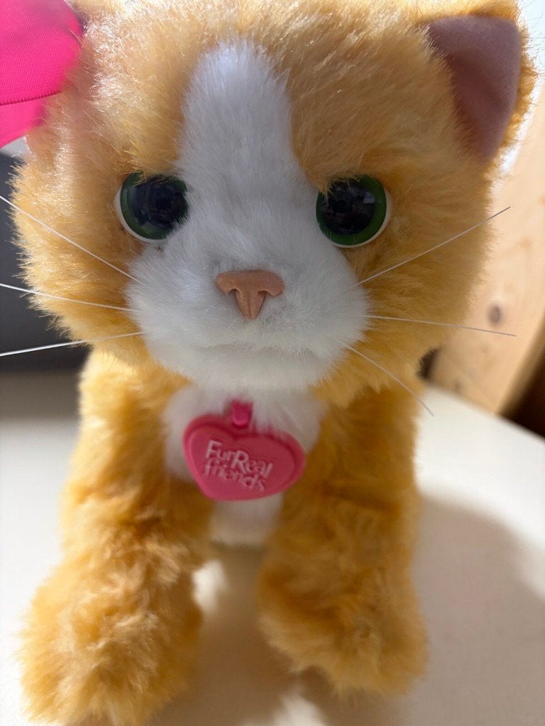 FurReal Friends Daisy – interactieve kat (Hasbro) – werkend, Ophalen of Verzenden, Gebruikt, Oranje, Kat