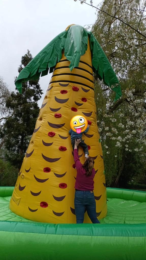 Springkasteel Palmboom te koop, Hobby en Vrije tijd, Ophalen, Gebruikt
