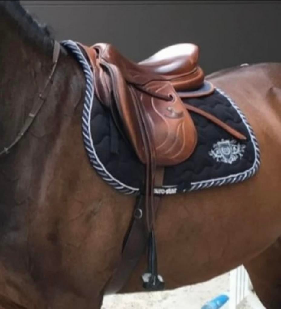 Bruno Delgrange Doublée (kalfsleer) springzadel, Dieren en Toebehoren, Ophalen, Gebruikt, Springen