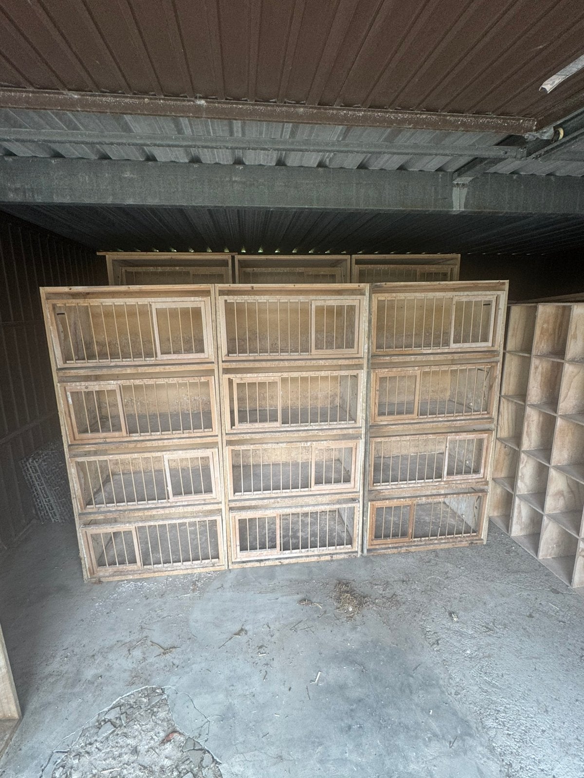 stevige duivenkweekbakken, Dieren en Toebehoren, Vogels | Duiven