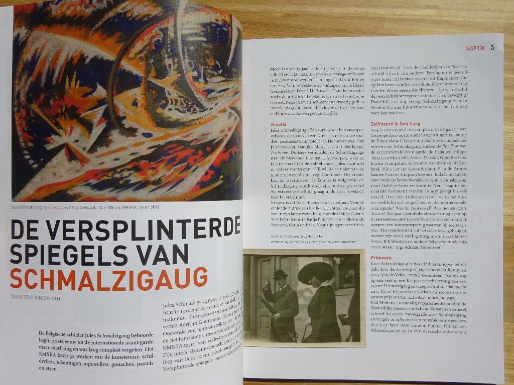 Jules Schmalzigaug in Zaal Z - 2020, Boeken, Kunst en Cultuur | Beeldend, Ophalen of Verzenden, Nieuw, Schilder- en Tekenkunst