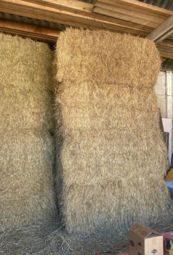 Hooi grote en kleine pakken, Enlèvement