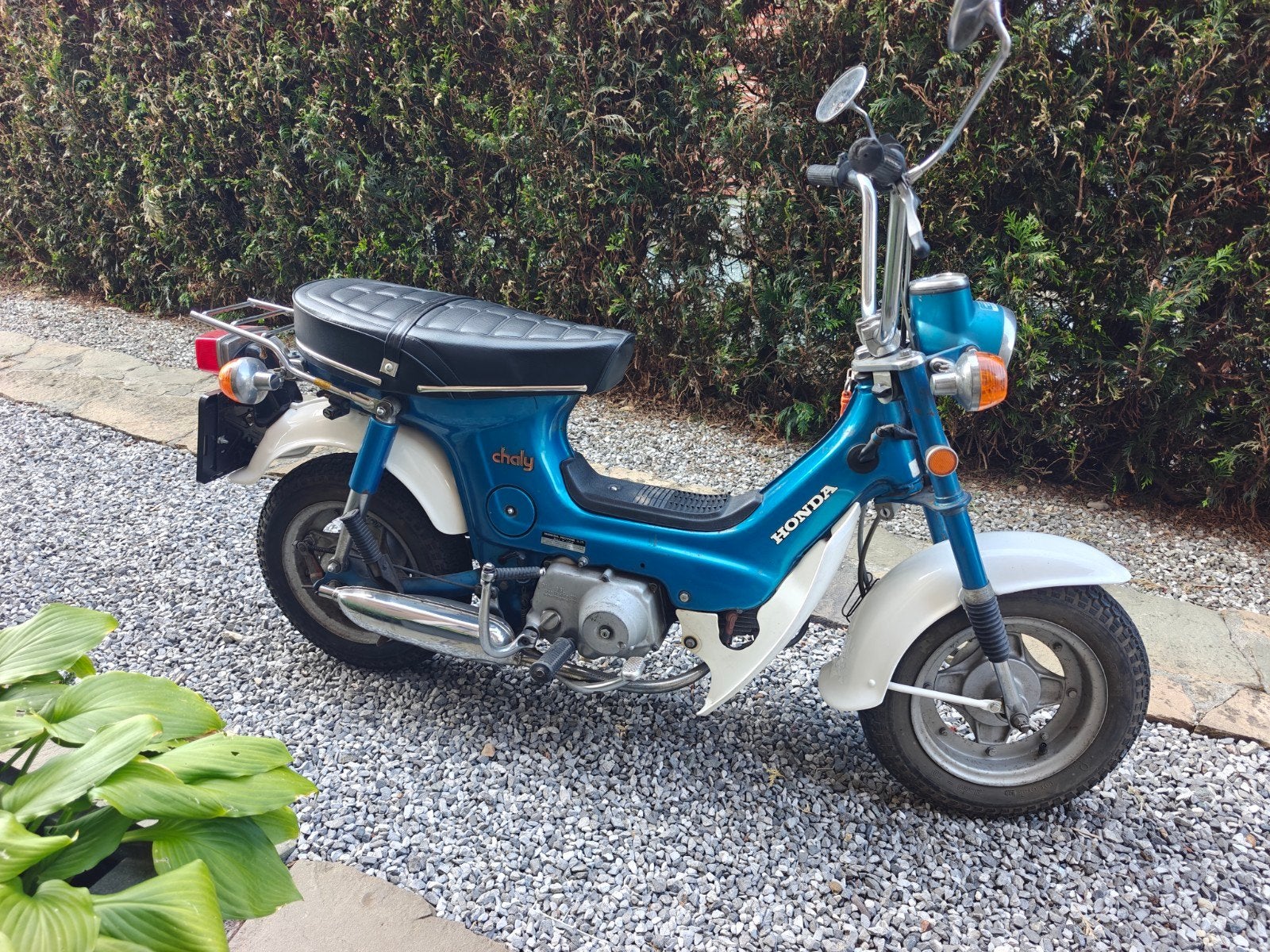 Honda CF70 (moto) chaly, Particulier