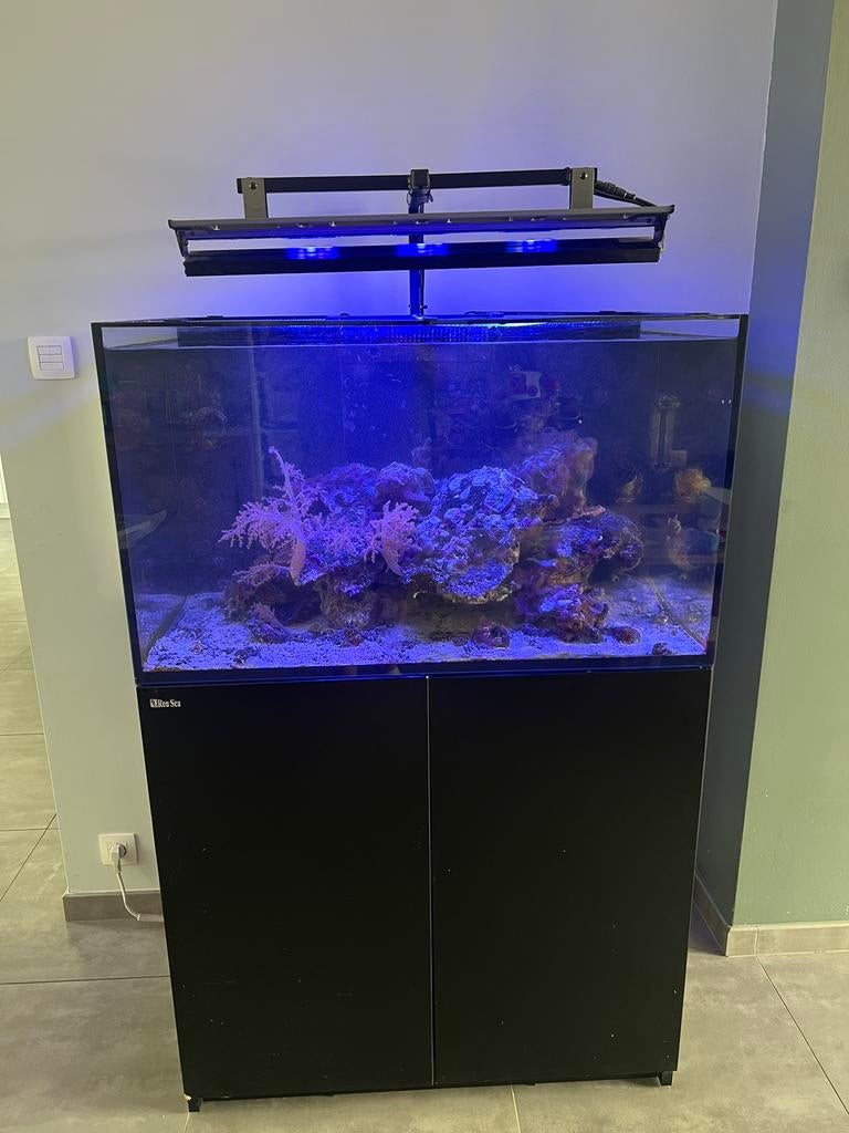 Aquarium recifal reefer 250, Red Sea, Aquarium d'eau de mer rempli, Enlèvement, Utilisé