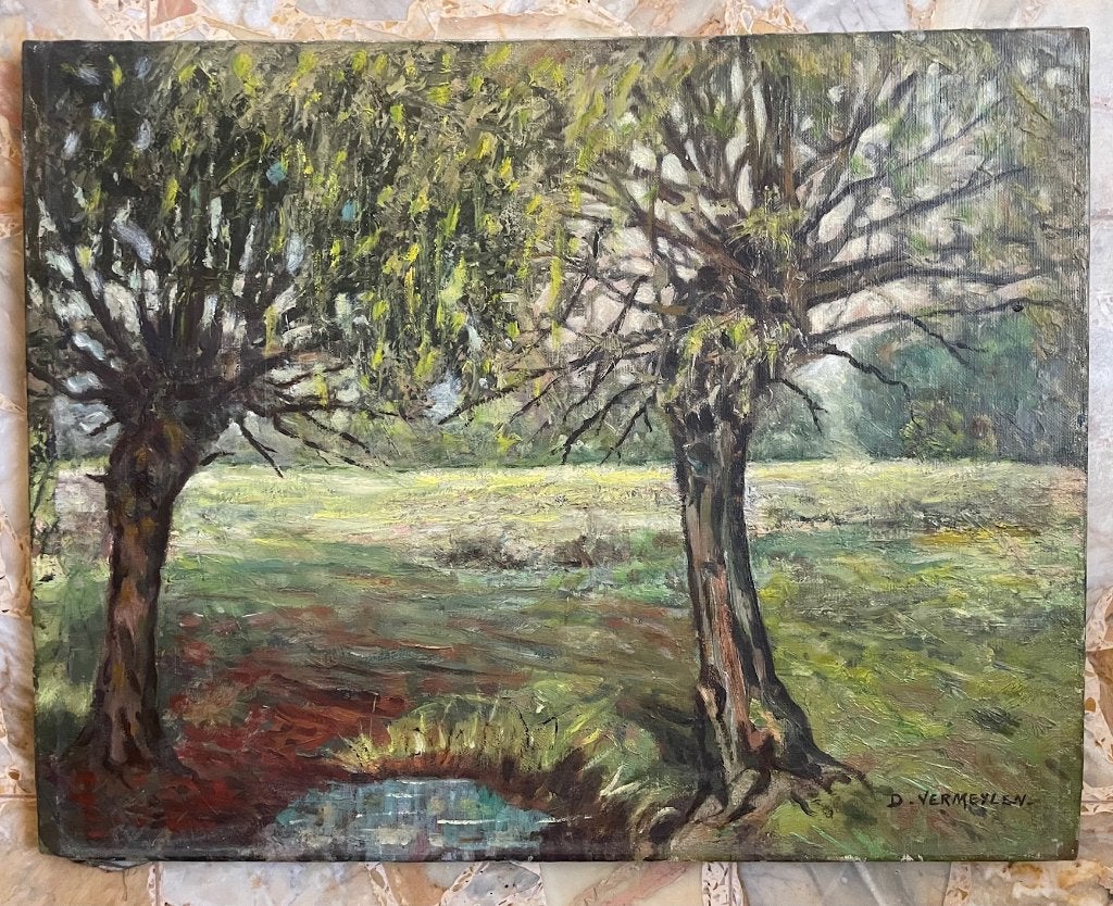 Origineel Olieverfschilderij "De Wilgen" – D. Vermeylen, Ophalen of Verzenden, Handgeschilderd, Olieverf, Landschap