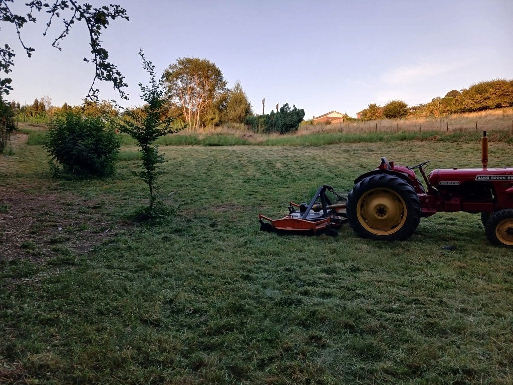 Tracteur David Brown implematic 880, Enlèvement