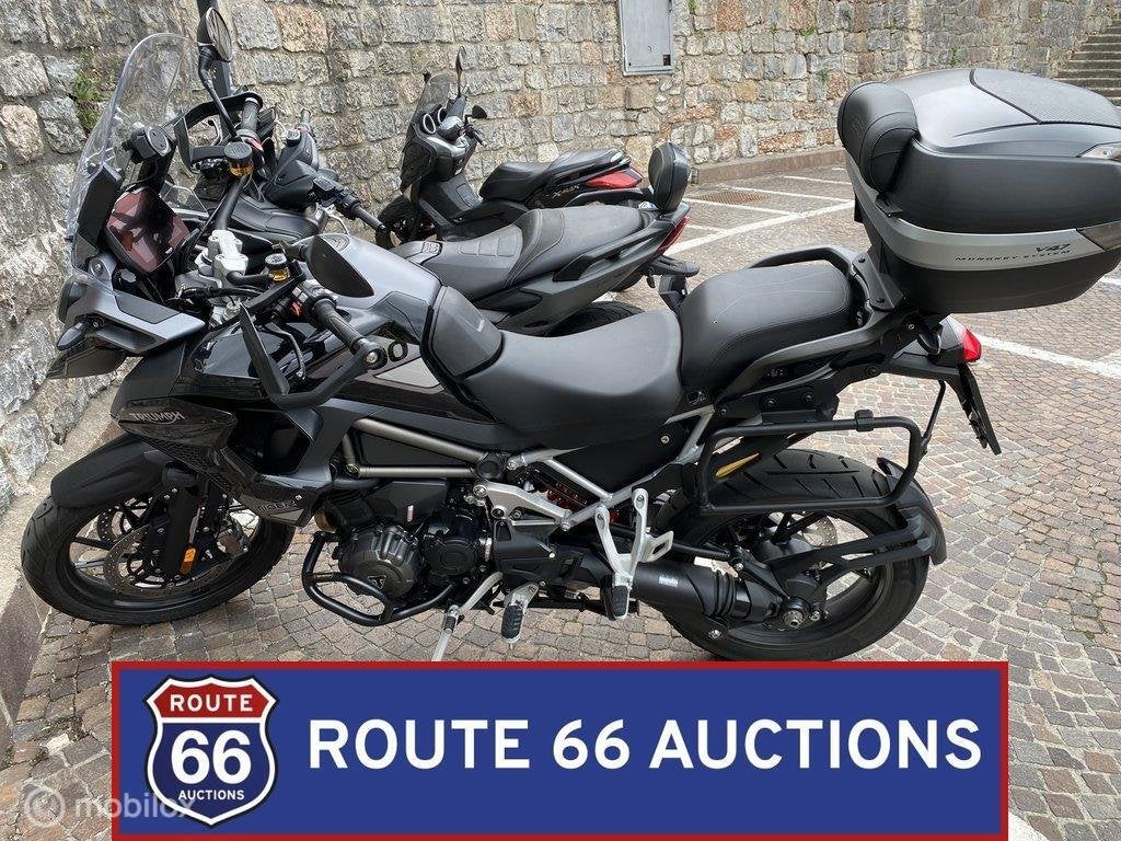 Triumph Tiger 1200 GT Pro | 2023 | Route 66 Auctions, Motoren, Overig, Handgeschakeld, Gebruikt, Bedrijf