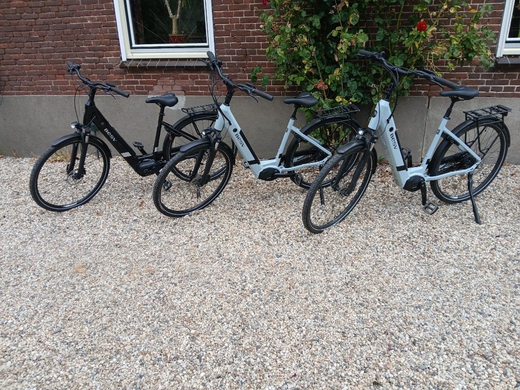 electrische fietsen  e- bike, Enlèvement, Neuf, 50 km par batterie ou plus, Autres marques