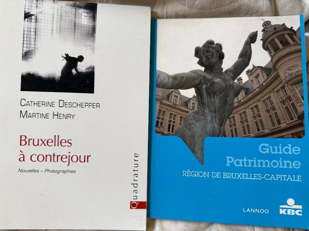 Bruxelles à contrejour+guide patrimoine de Bruxelles, lot, Envoi, Comme neuf, Autres sujets/thèmes
