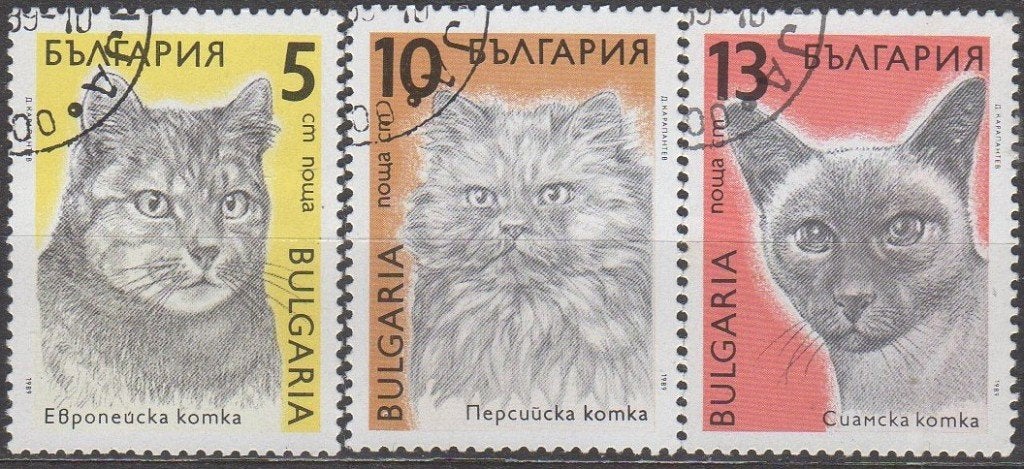 Bulgarije - Kattenrassen - 1989, Ophalen of Verzenden, Bulgarije, Gestempeld
