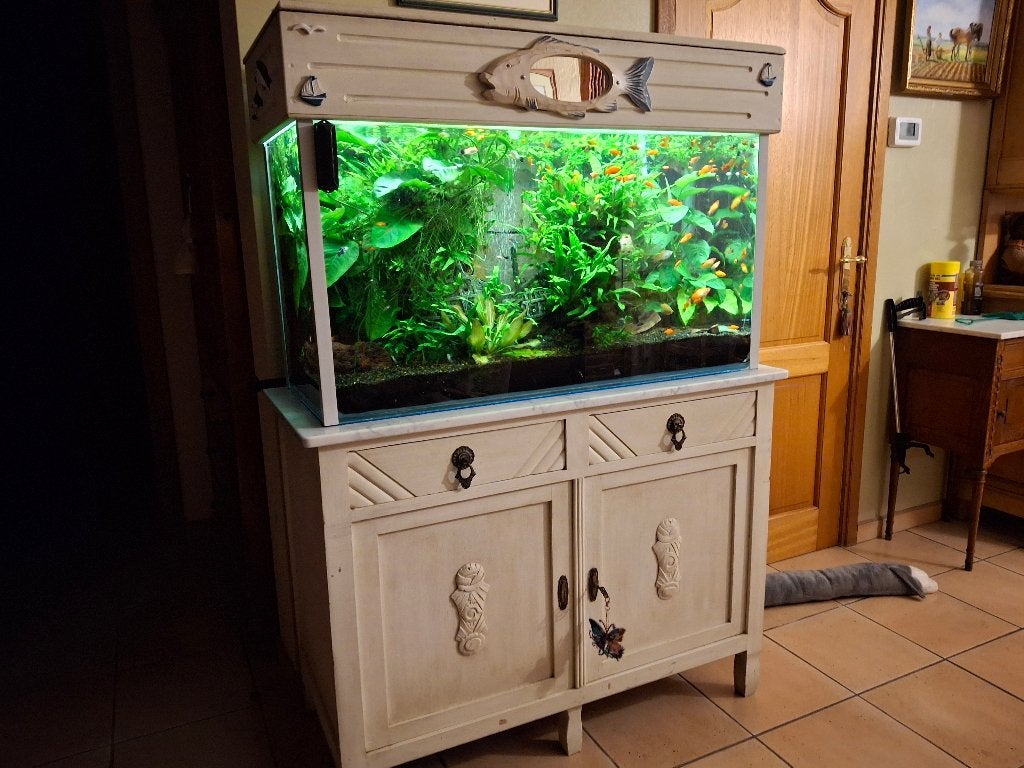 Aquarium + vissen en toebehoren, Ophalen, Inclusief vissen, Gebruikt, Gevuld zoetwateraquarium