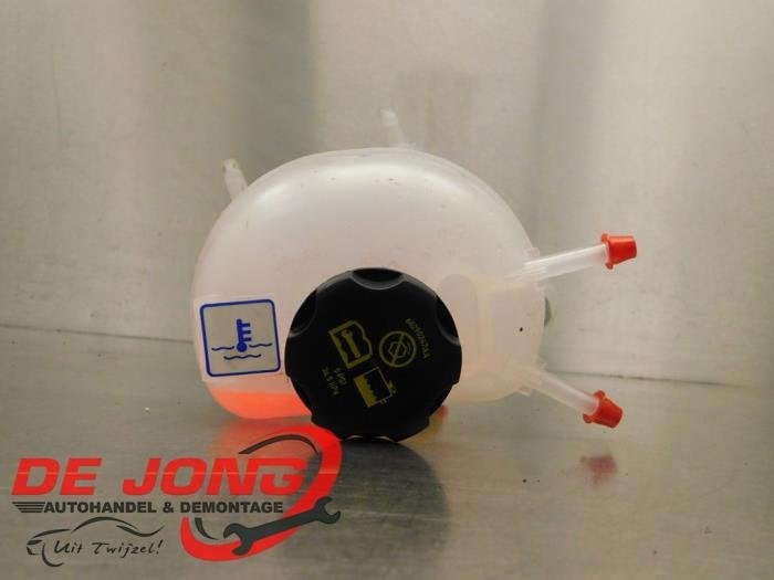 Réservoir d'expansion d'un Fiat 500e, -, 3 mois de garantie, Utilisé, Fiat