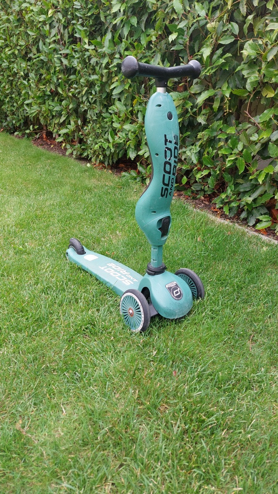 Scoot and ride 2-in1 step (1tem5jaar), Ophalen