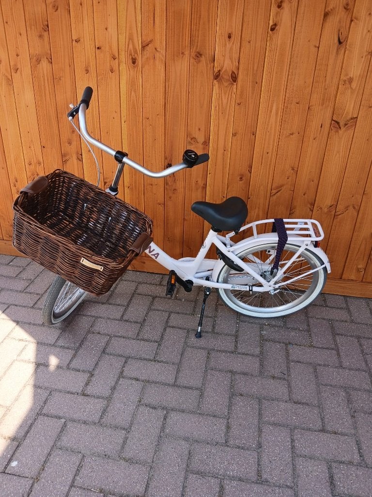 Meisjesfiets Alpina 20inch, Fietsen en Brommers, Fietsen | Meisjes, Ophalen, Terugtraprem, Alpina, Zo goed als nieuw
