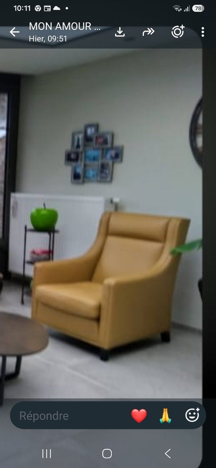 LEREN FAUTEUIL, Ophalen, Leer
