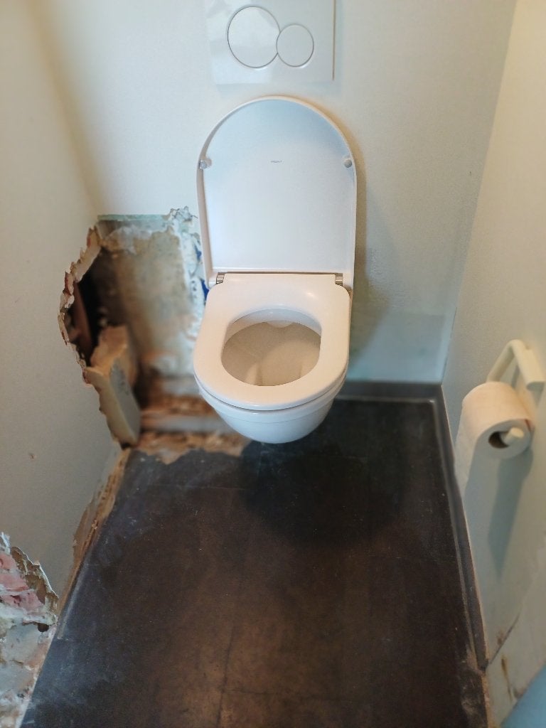 toilet, Doe-het-zelf en Bouw, Ophalen, Gebruikt, Toilet