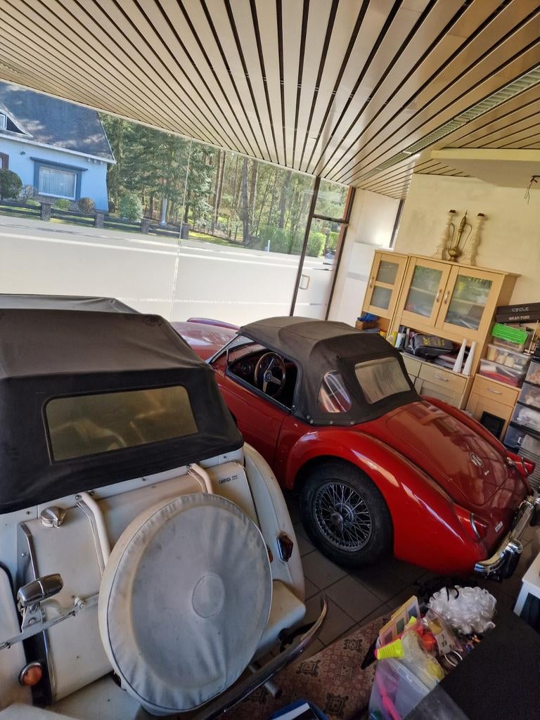 Oldtimers te koop MGA ,MG TD,jaguar,mini, foto 3