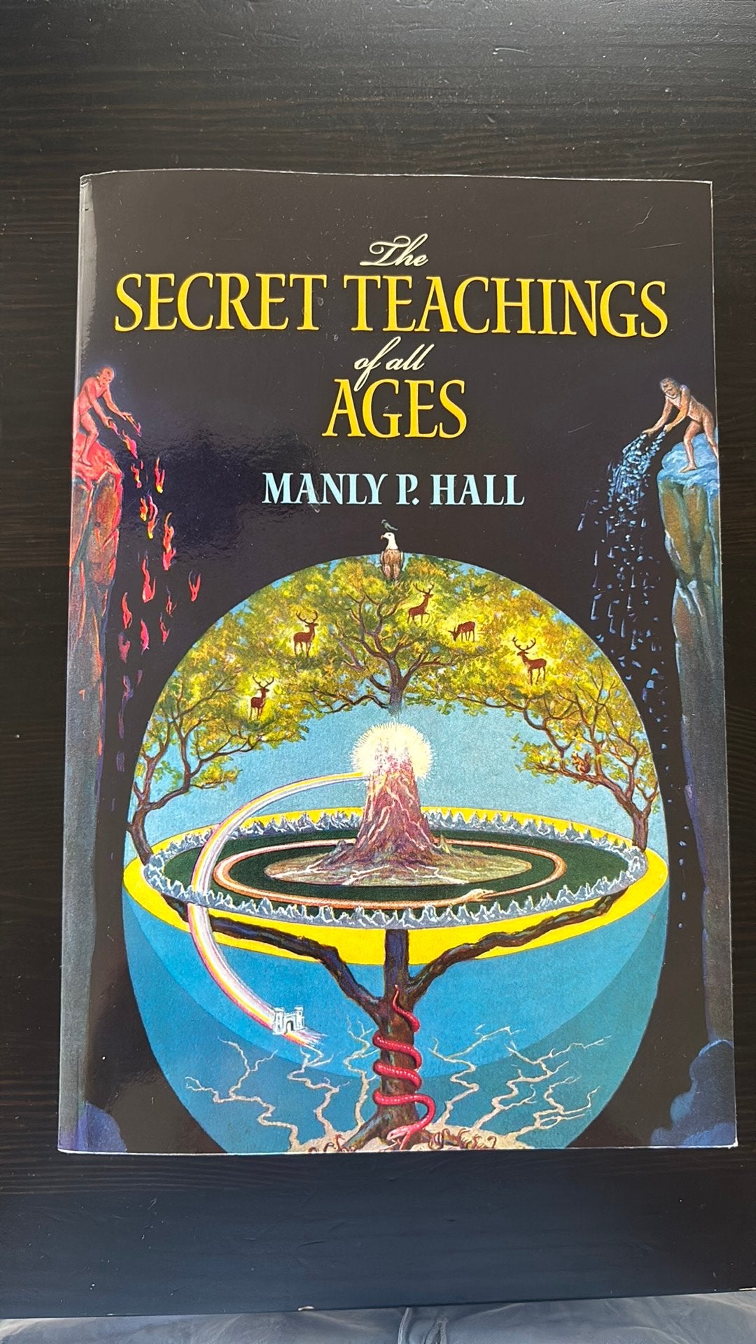 The secret teachings of all ages - Manly P Hall, Livres, Ésotérisme & Spiritualité, Enlèvement, Comme neuf