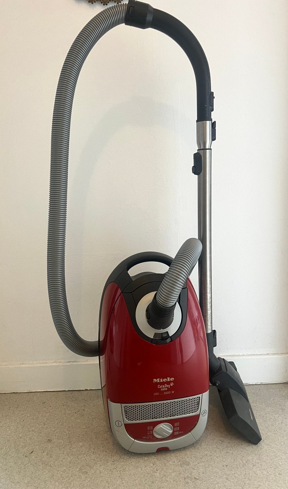 Miele cat&dog aspirateur, Enlèvement, Utilisé, Miele