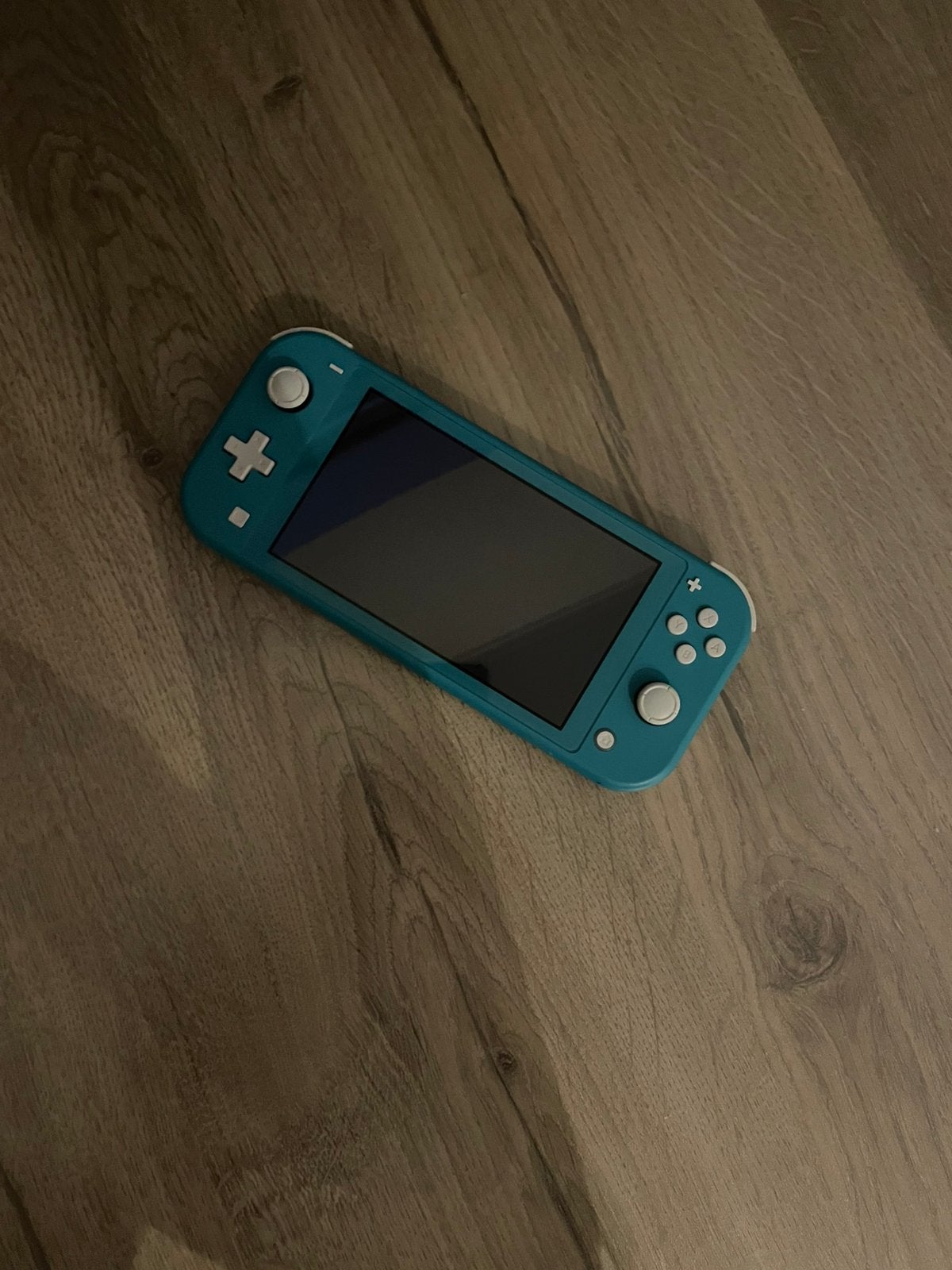 Nintendo Switch Lite Blauw, Enlèvement, Turquoise, Comme neuf, Avec housse de protection ou sac