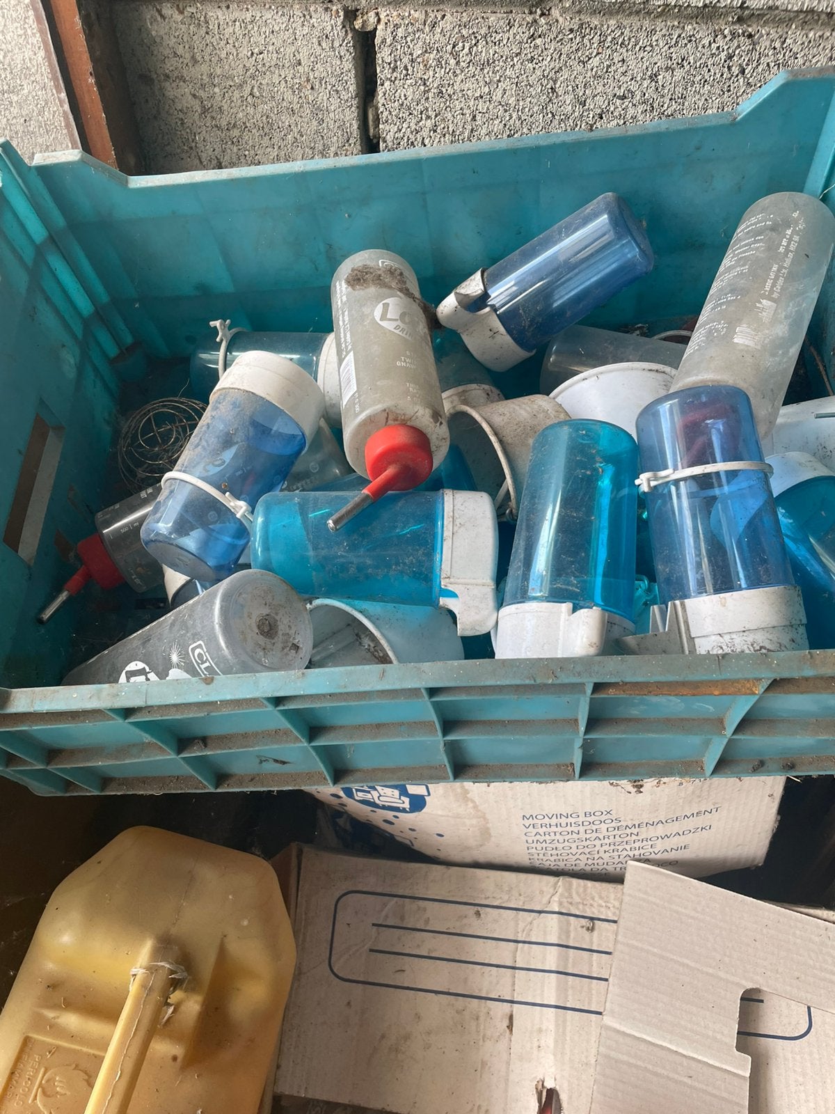 Drink flessen  vogels