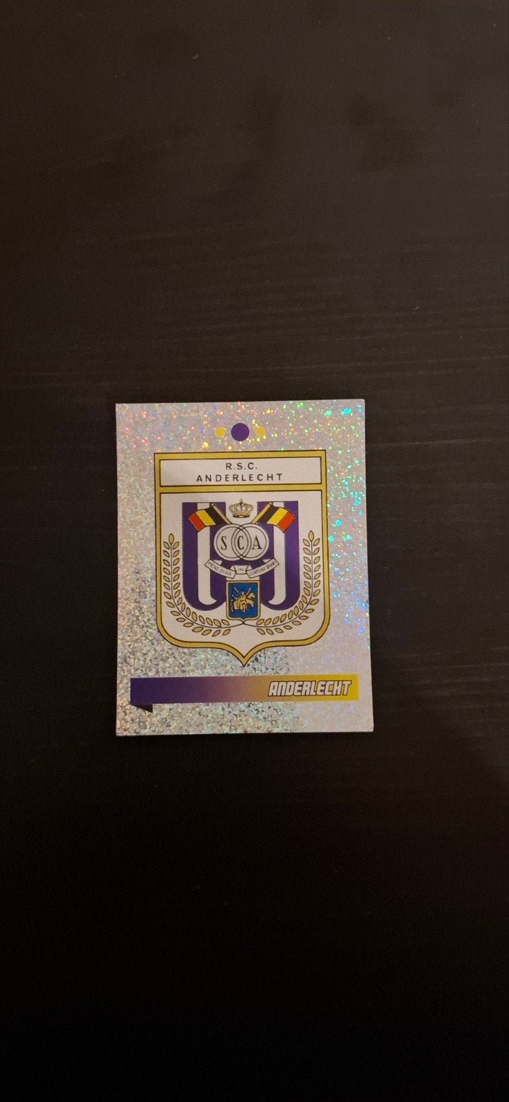 Panini voetbal 2011, Ophalen of Verzenden