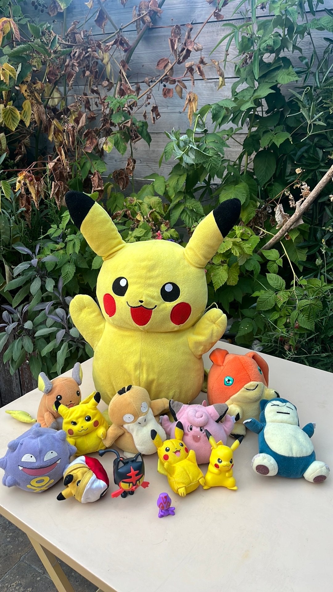 Pikachu en familie, Enlèvement ou Envoi, Utilisé, Autres types