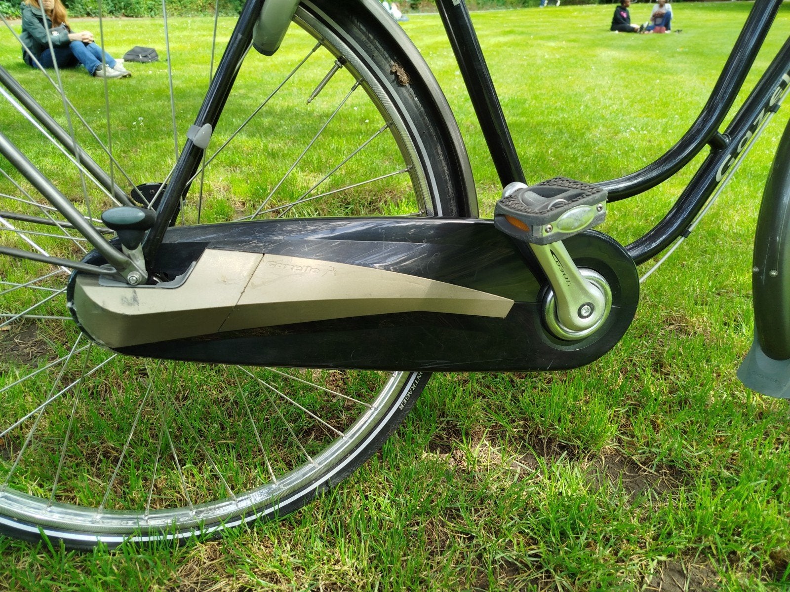 Impala Gazelle, pour personnes de 1,68 cm à 18,5 cm, Enlèvement