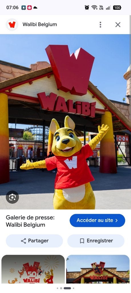 5 ticket Walibi Belgique, Trois personnes ou plus, Ticket ou Carte d'accès