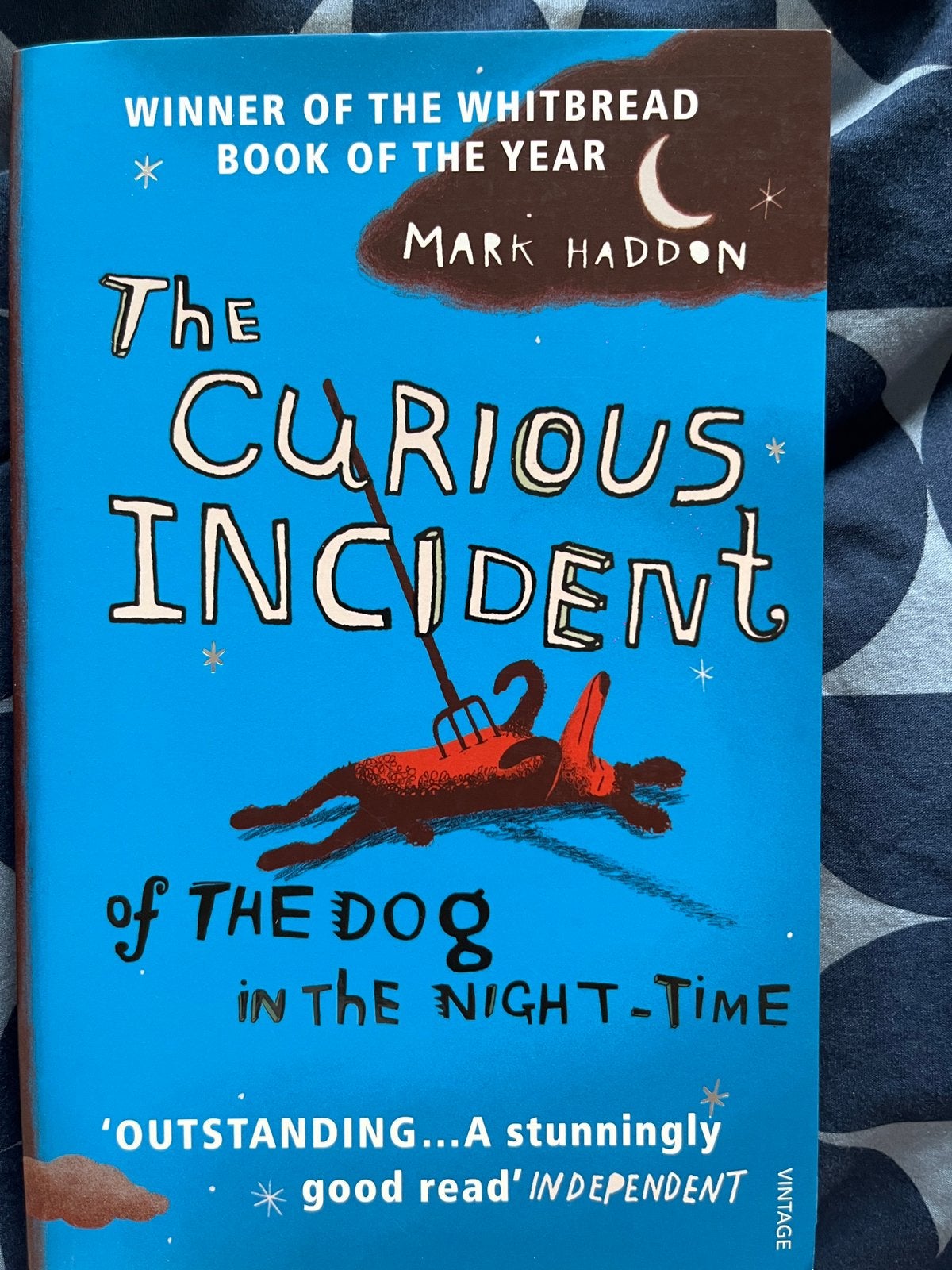 The curious incident - Mark Haddon, Livres, Enlèvement, Utilisé