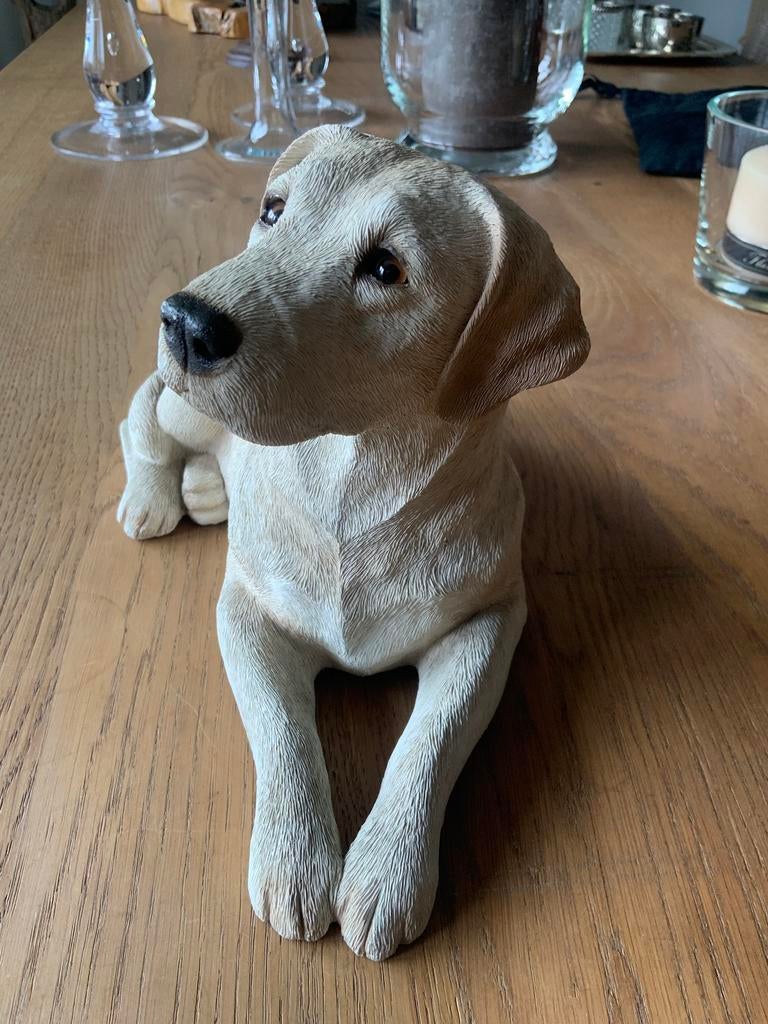Sandicast Labrador, Enlèvement ou Envoi