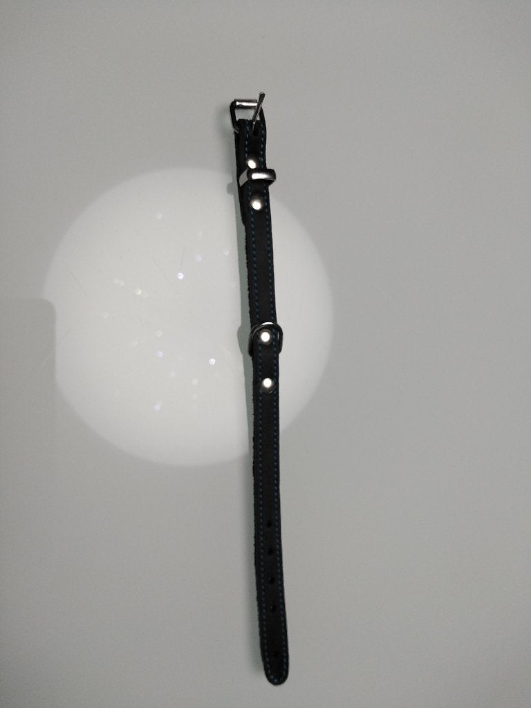 collier cuir chat ou chiot, Dieren en Toebehoren, Katten-accessoires, Ophalen of Verzenden, Nieuw