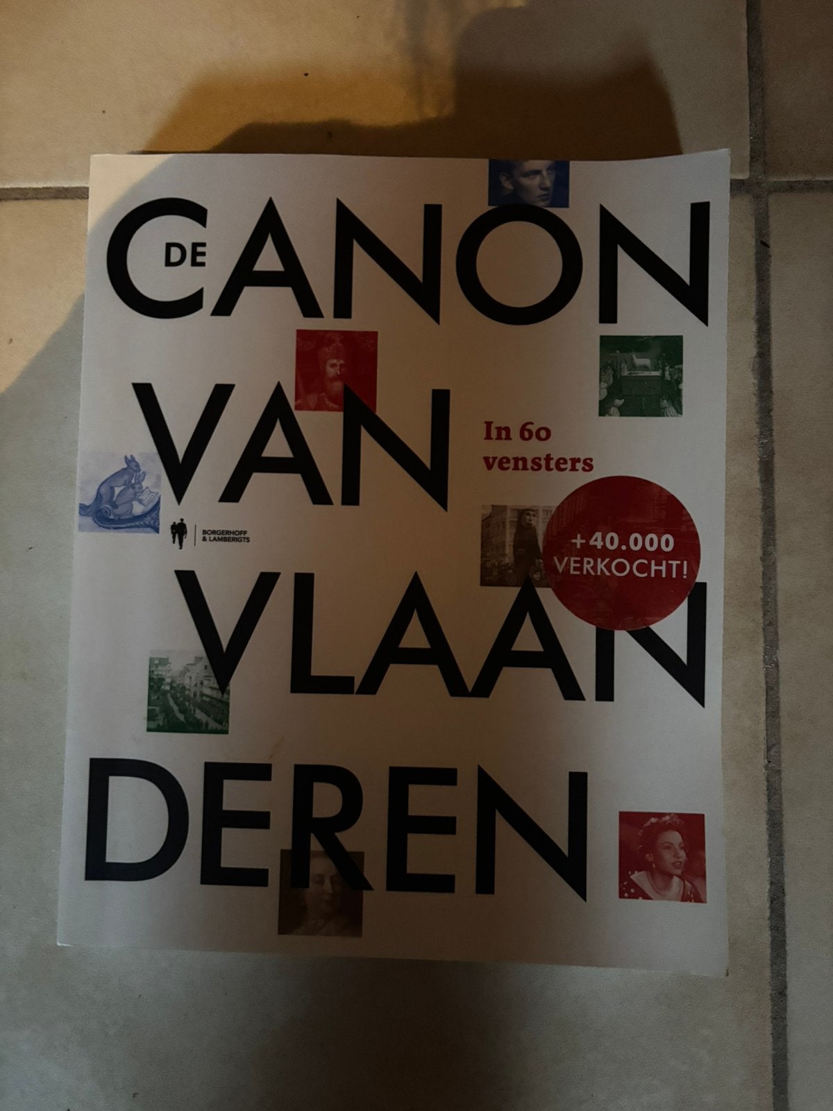 De Canon van Vlaanderen in 60 vensters, Boeken, Ophalen of Verzenden, Zo goed als nieuw