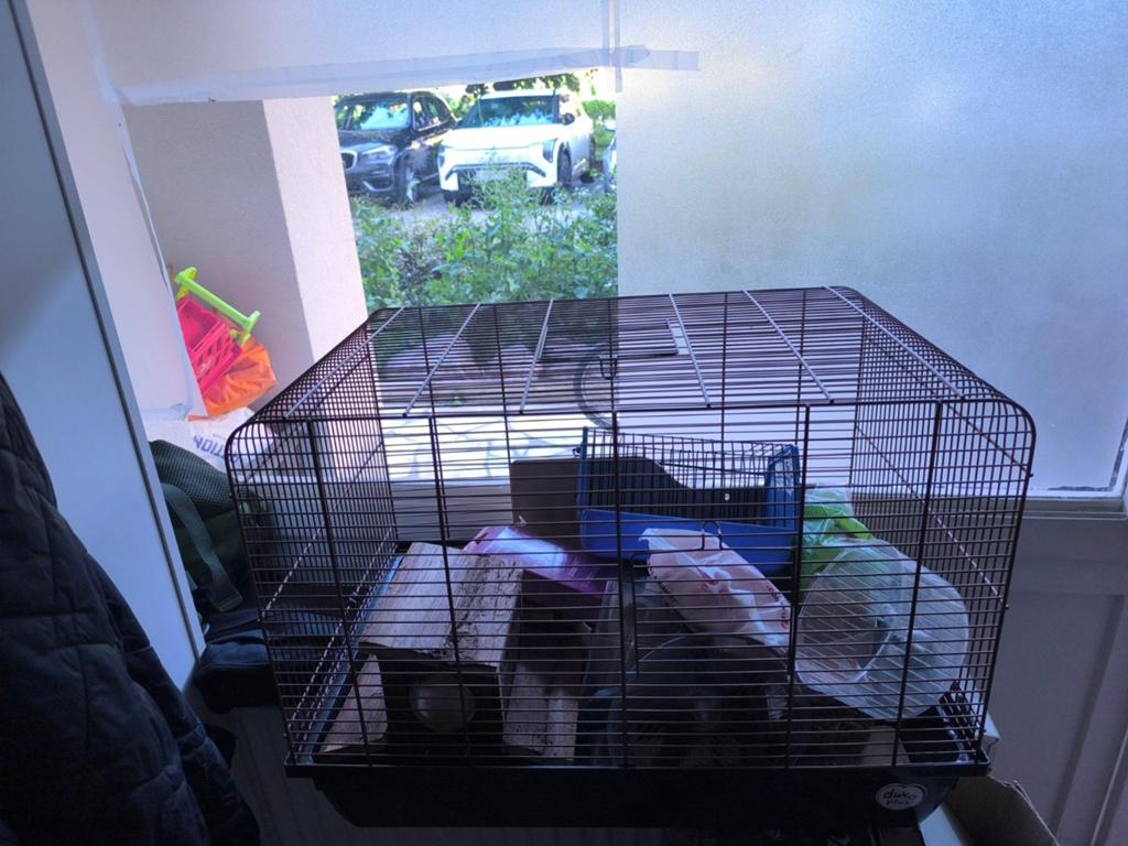 Lot cage pour rongeur + accessoires et litière hamster, Animaux & Accessoires, Enlèvement ou Envoi, Cage, Rat