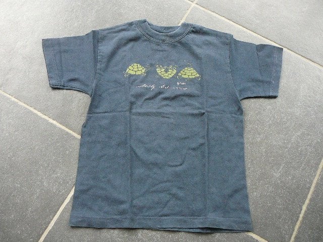 blauwe T-shirt met 3 schildpadjes met tekst slowly but sure, The Griginal, Gebruikt, Ophalen of Verzenden, Shirt of Longsleeve