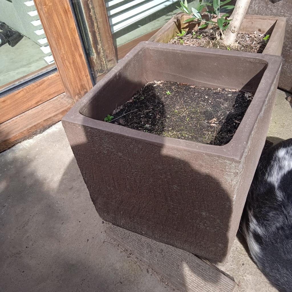 Bloempotten, Ophalen, Minder dan 60 cm, Vierkant, Zo goed als nieuw