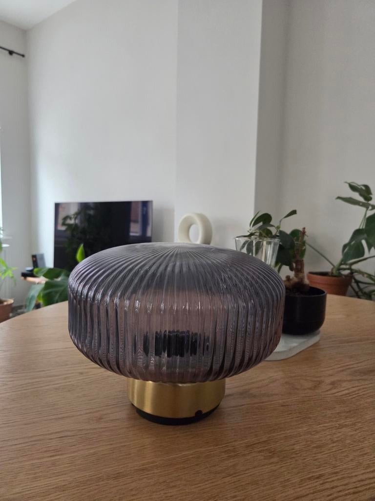 Luminaire plafonnier