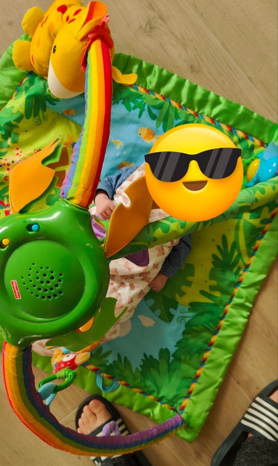 Jungle speelmat - met jungle sounds, Ophalen