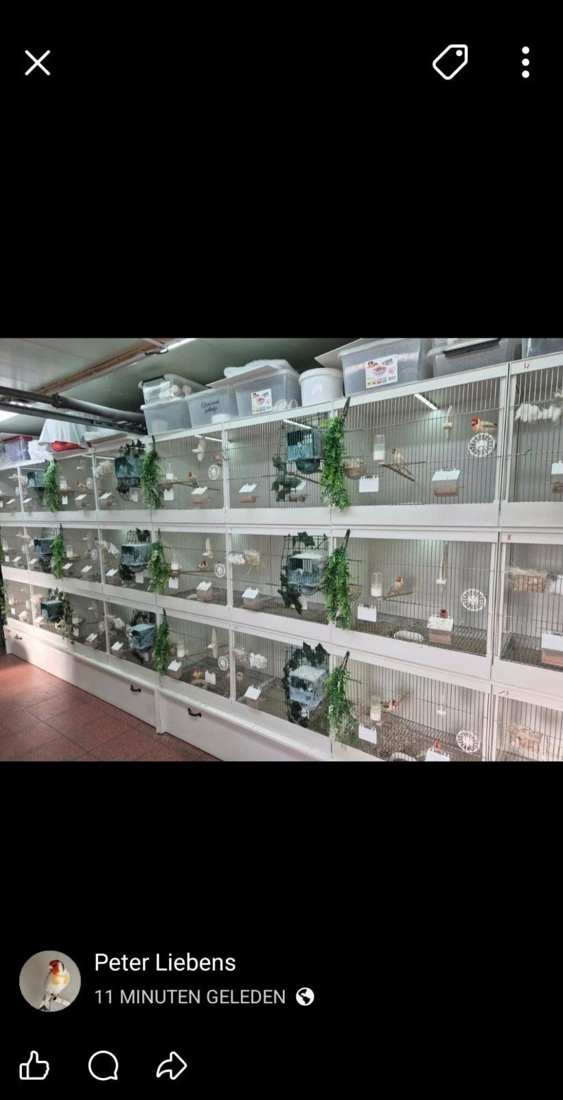 pvc kweekkooien, Enlèvement, Comme neuf, Synthétique, Cage d'élevage